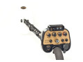 GOLD FINDER GOLD FINDER